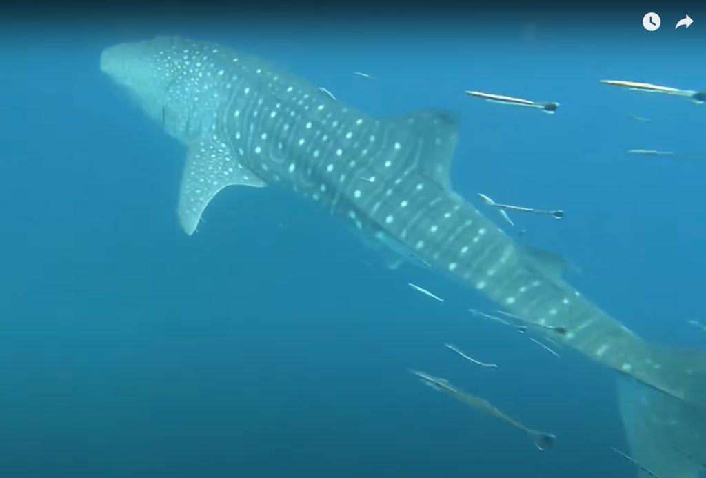 72e95057-1efc-41fe-93b2-655f28e4d699