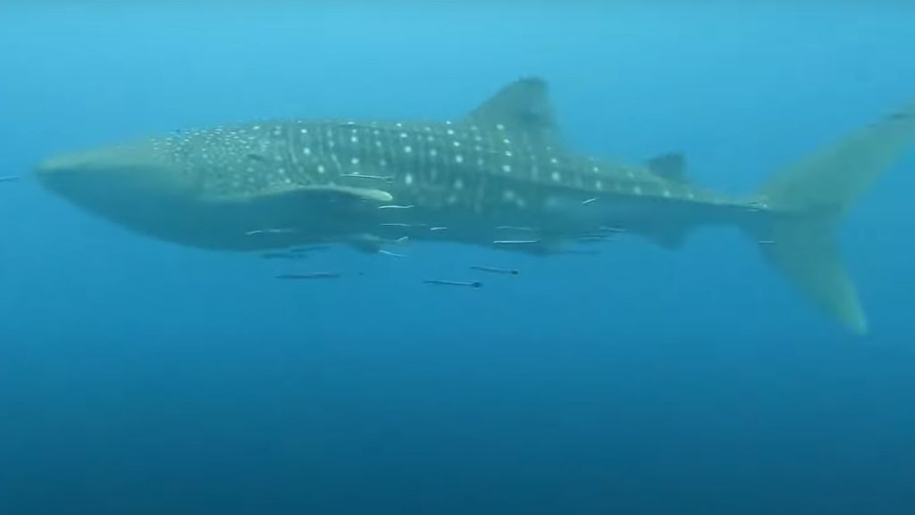 72e95057-1efc-41fe-93b2-655f28e4d699