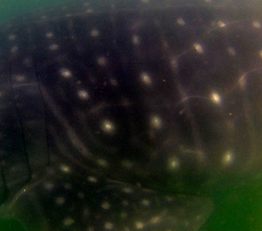 dc2b80fa-580b-4bfc-8de4-6bc3ace2878f