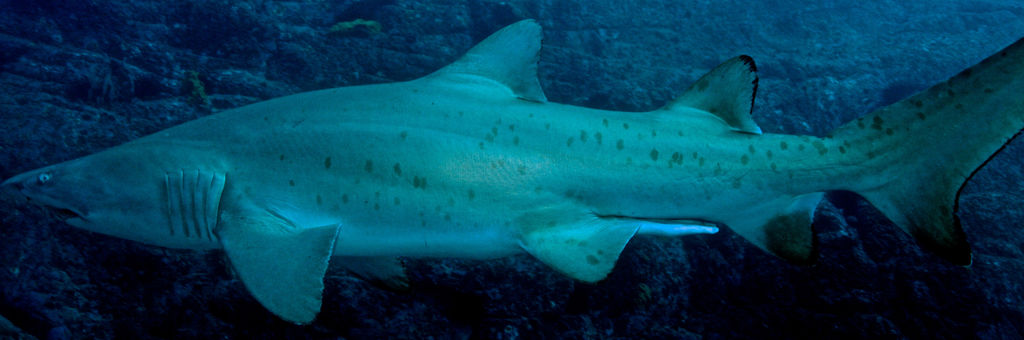 c54f4f67-9def-405d-8b13-79eaf7d590f7