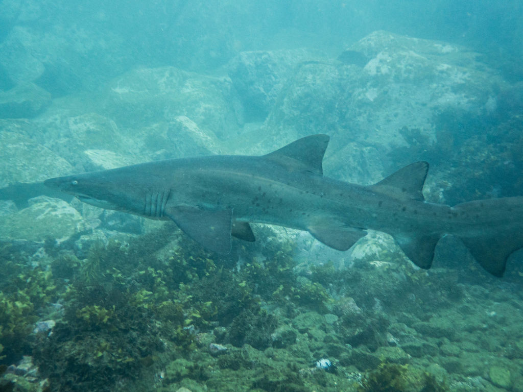 335b6de0-5625-4fb6-a7af-e7291887cfca