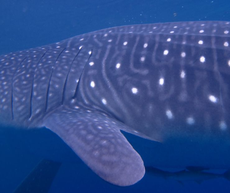 57127a28-06fd-4765-8d4e-2074877c90ca