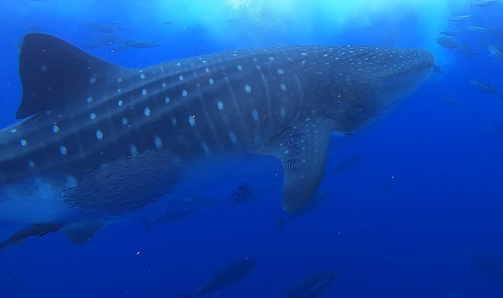 baf1d5db-b2a0-482c-adf3-4347c813443b