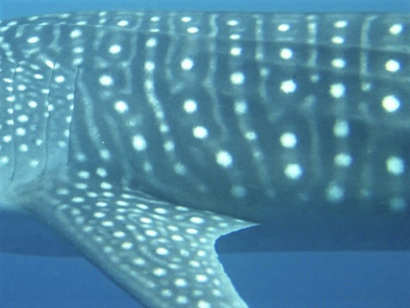 59b22537-2ce1-416f-966d-0ee453c7d9d0