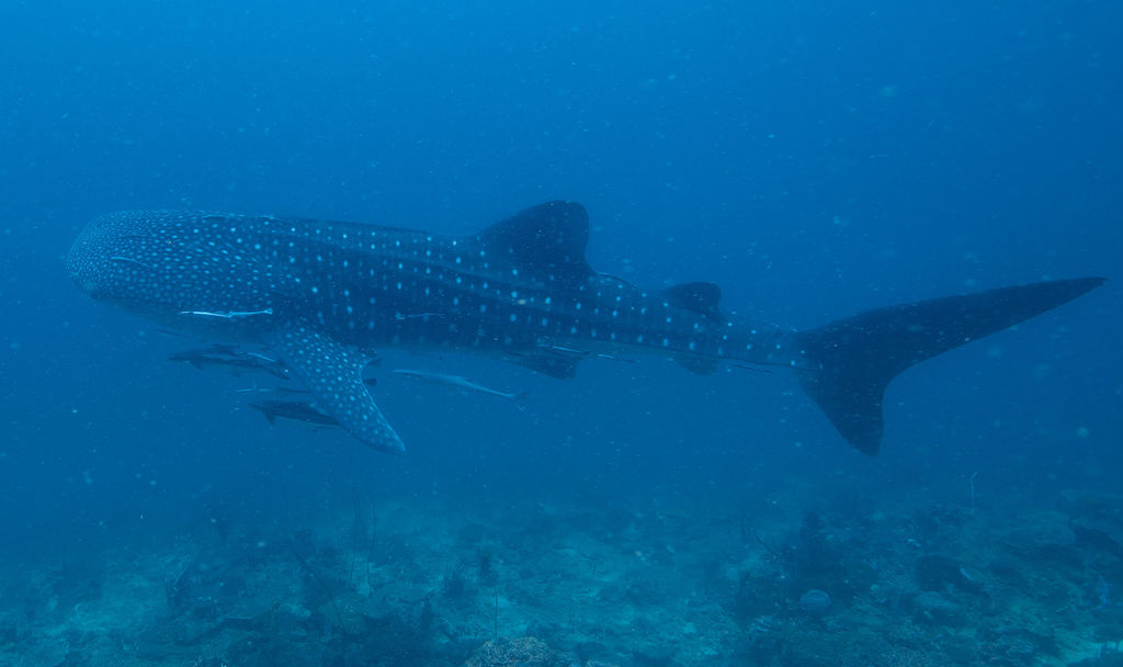 81fa2850-0eb9-4ca1-b254-7db30eb290fa