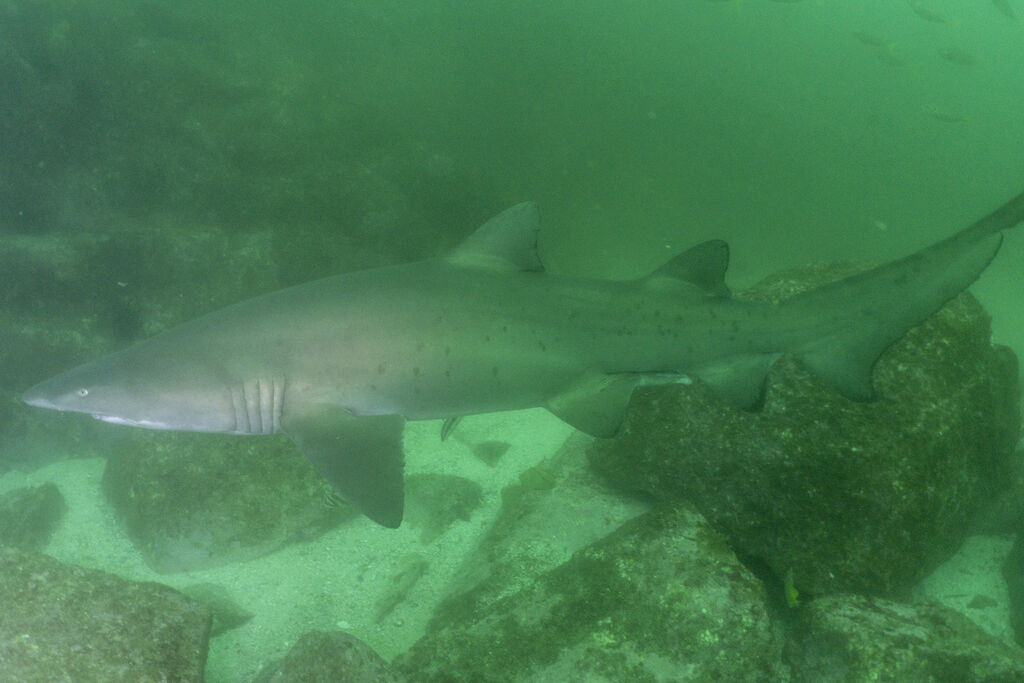 c2e2da64-e451-4cca-916b-53006642014c