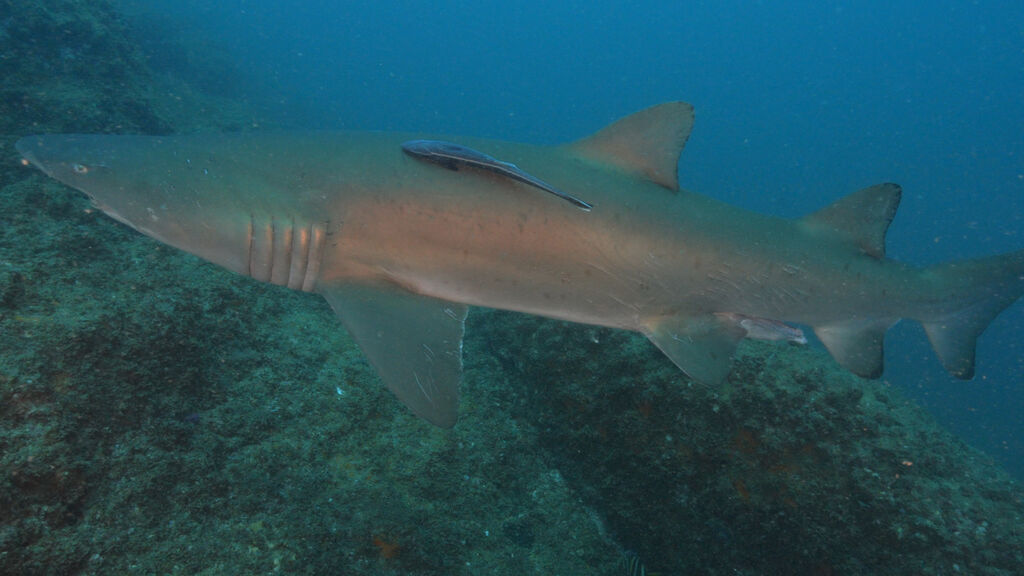 2c14094c-3ead-4f36-8fb1-7f7f5050855c