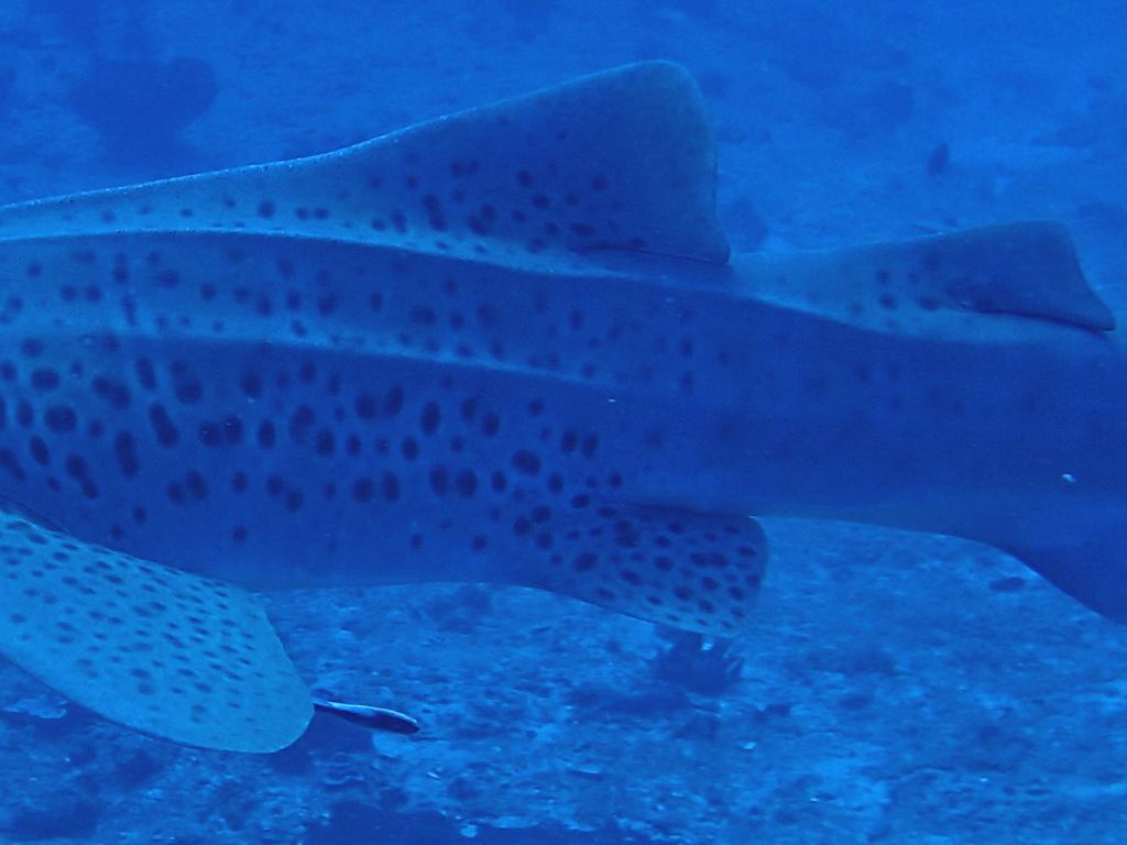 21e49d3b-e050-4fd3-917a-c1117ebf26e3