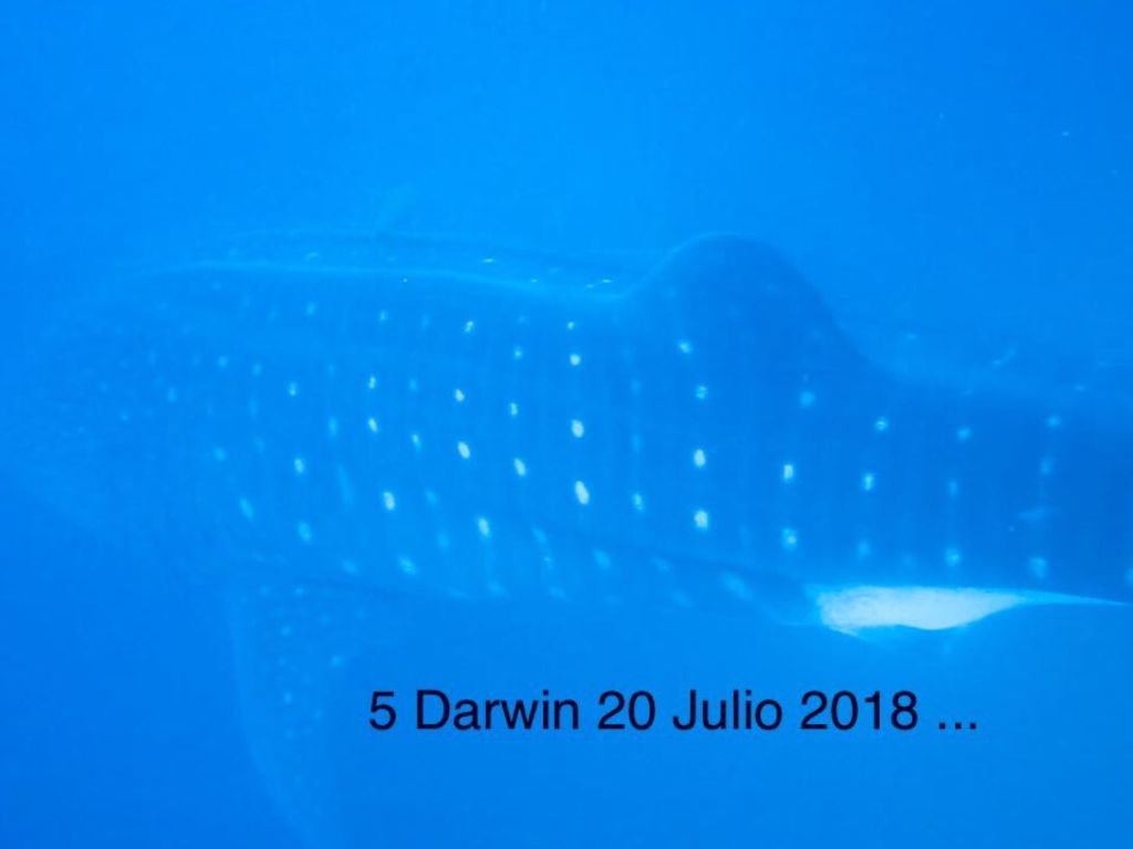 23e97387-2eb6-44ef-97cd-93bc6cfbe260