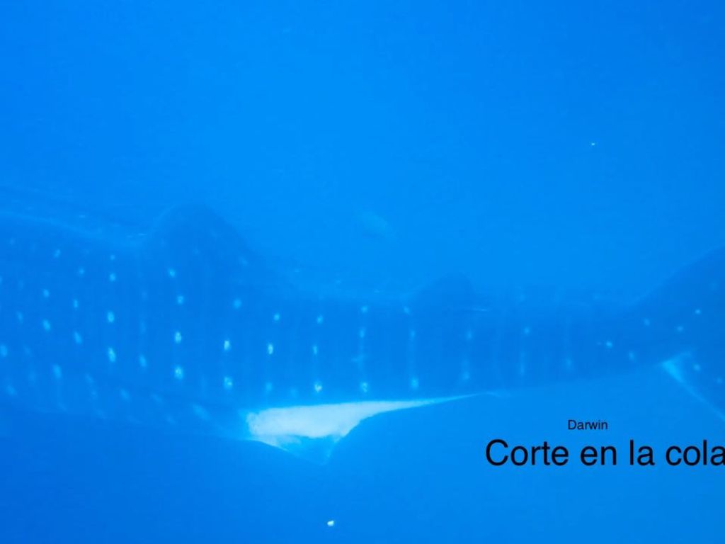 23e97387-2eb6-44ef-97cd-93bc6cfbe260