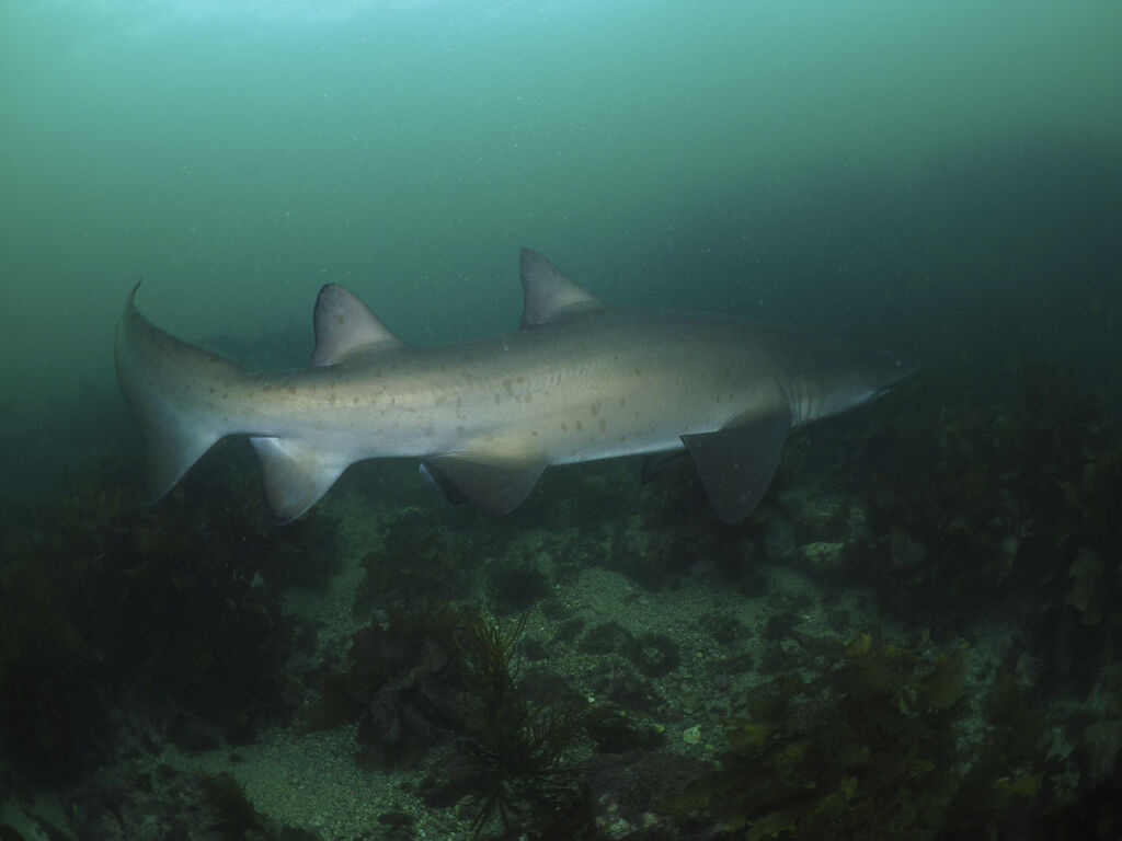 2cb02616-1f23-4ad2-9da3-4f919554f3b0