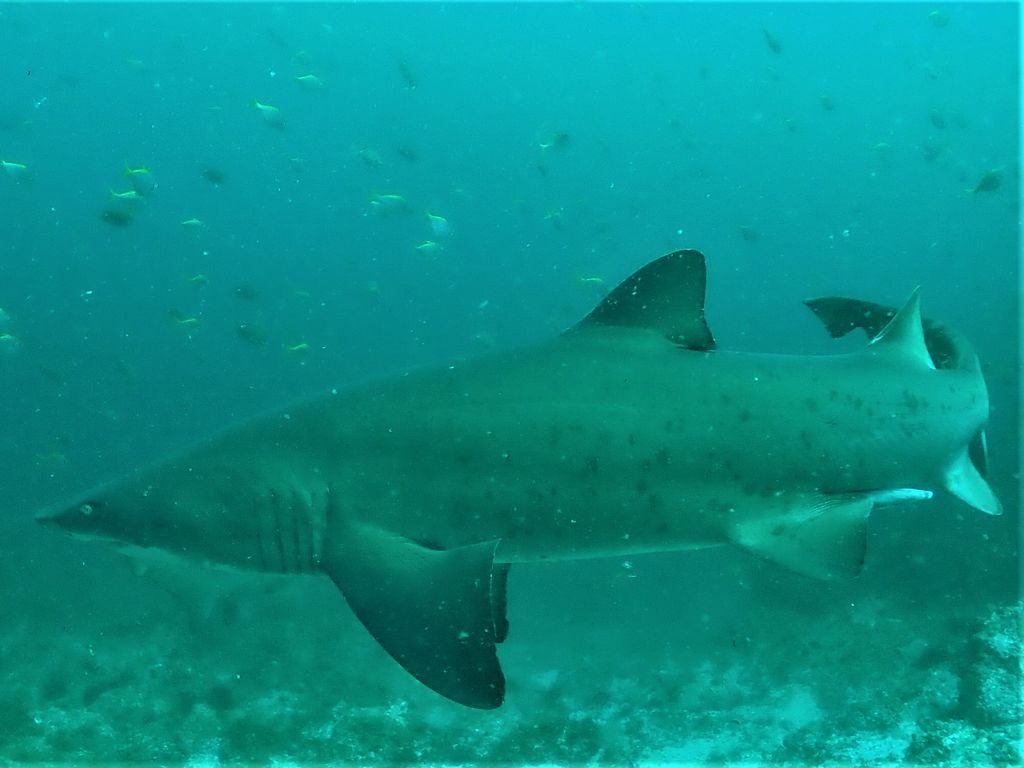 af83e204-5994-4191-9d3b-a2f408b4ea5d