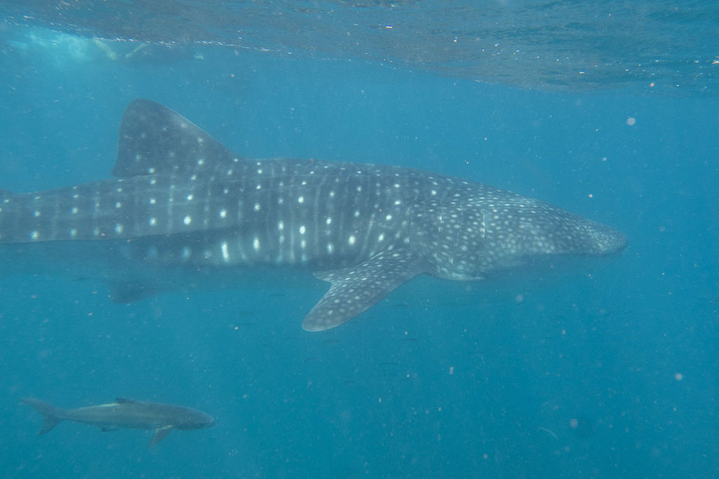 b2a6a114-95f5-417a-b511-50f3a3c9afdc