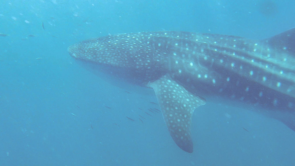 b2a6a114-95f5-417a-b511-50f3a3c9afdc