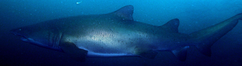 572f5f05-01c3-4ef9-9af7-0d03ce392992