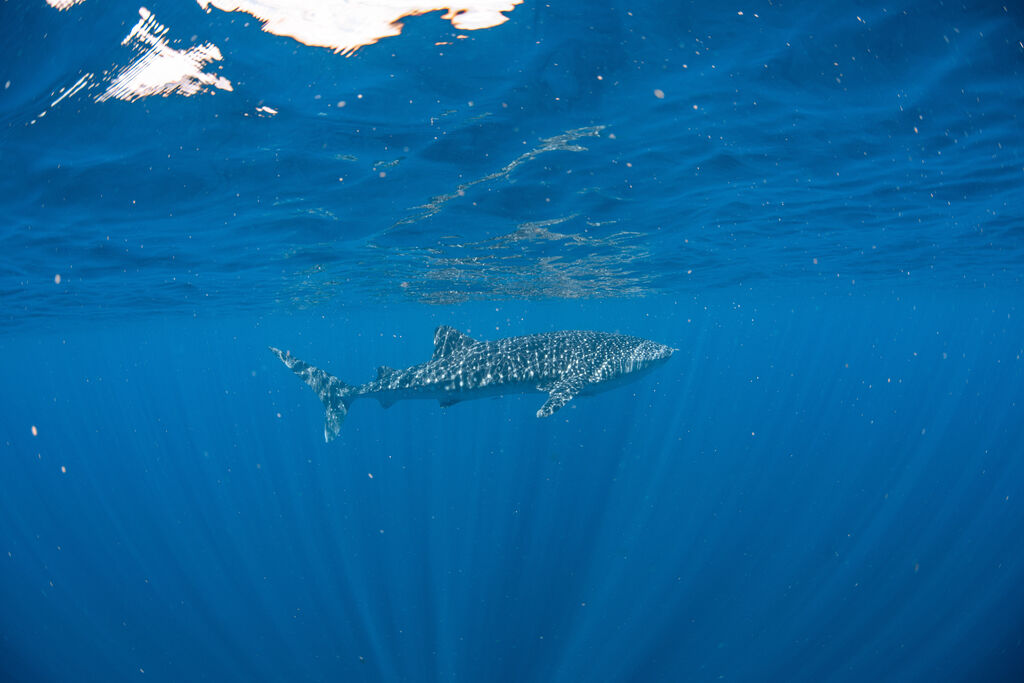 dd6d8dce-a3c8-48fa-bb98-49307a0dfec2