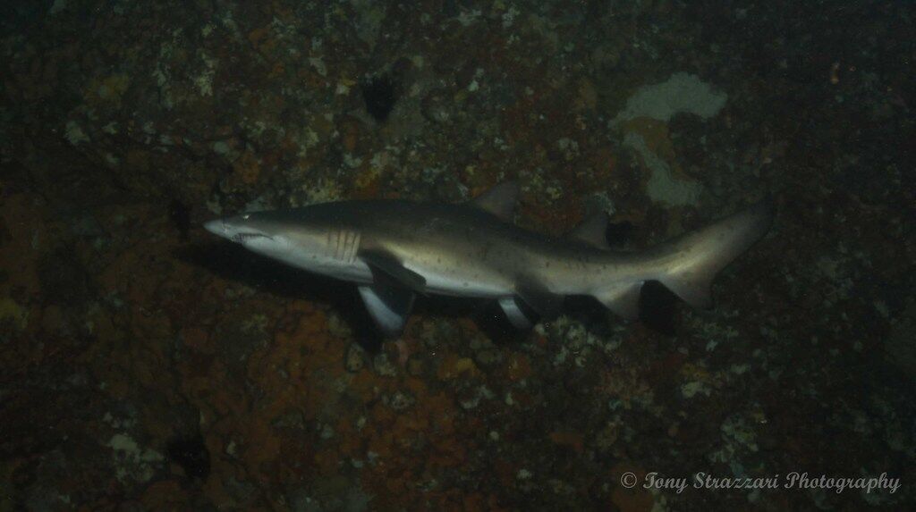 02343d4e-b897-4a41-a474-5bcf15148364