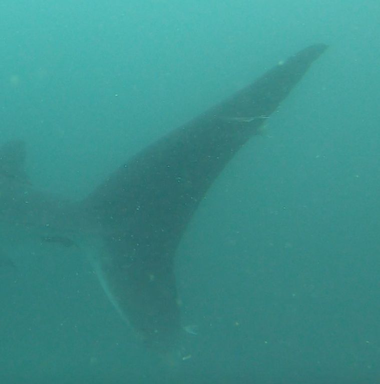 9a97f95b-65c1-41e9-a04c-8f7fd34527c2