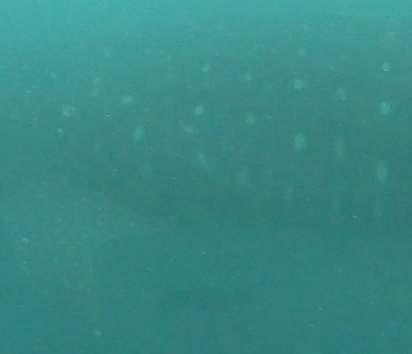 9a97f95b-65c1-41e9-a04c-8f7fd34527c2