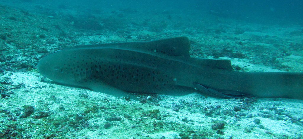 2b4ba6d7-7cbf-400c-9fc4-a149233aff40