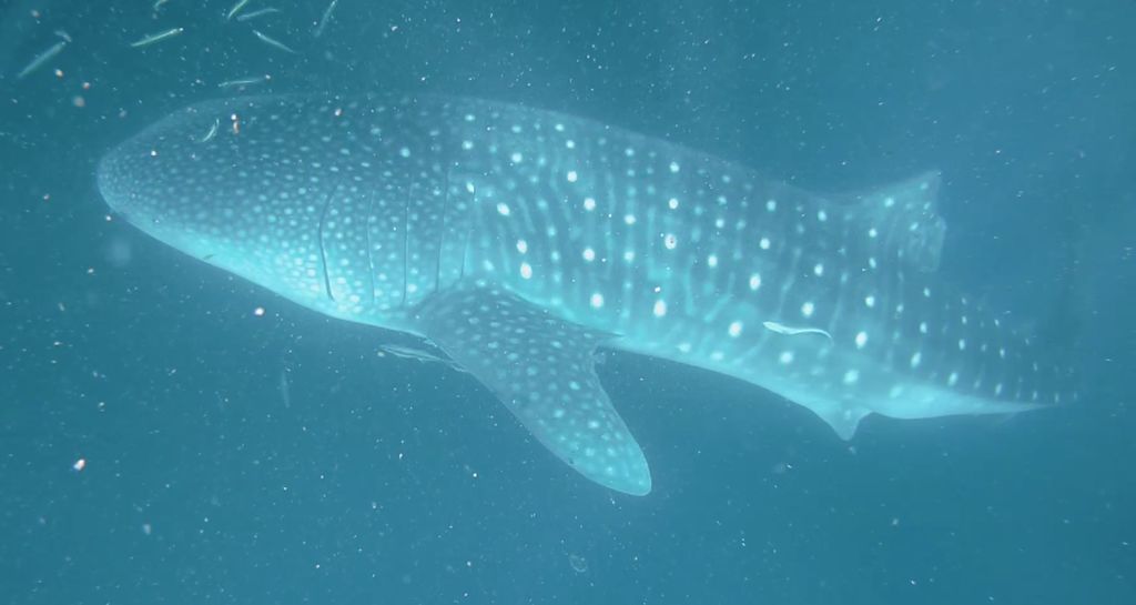 69b4958a-e819-4cac-8c8f-d7f413a5d9e5