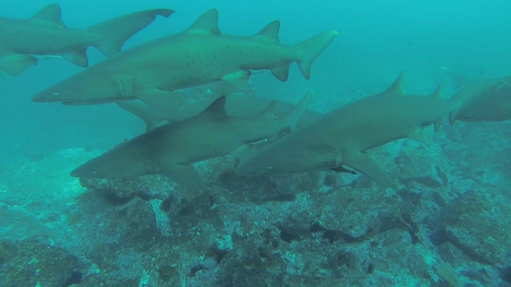 004a3b06-ef90-456b-8143-553ee41fc8c9