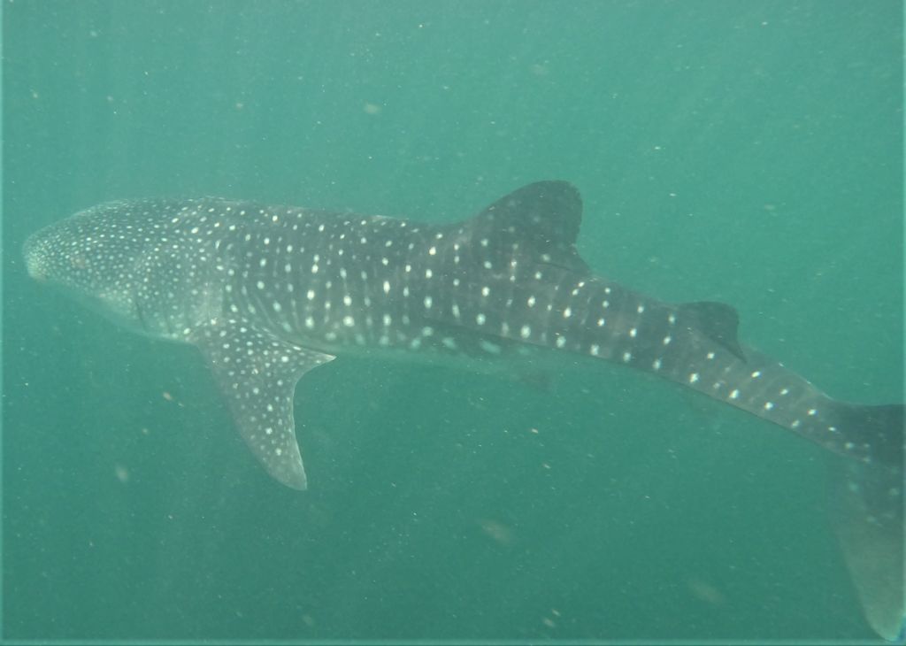 8504b7aa-1ada-46a6-bcf8-f56732e1bd6d