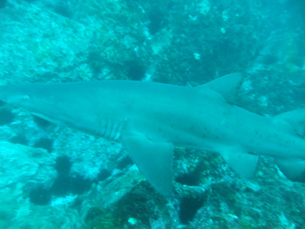 6986e096-a173-478a-bc14-a607718cf157