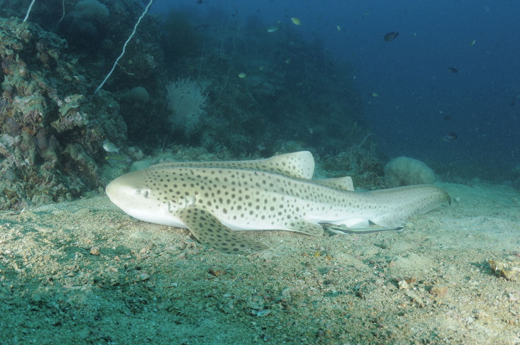 d305398a-b8a0-461c-89b4-1f65d197d2b3