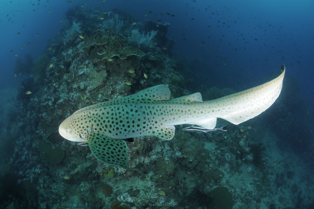 d305398a-b8a0-461c-89b4-1f65d197d2b3