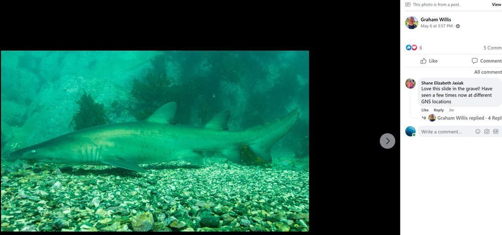 10c5ecef-6632-467a-8616-8e711818e3fd