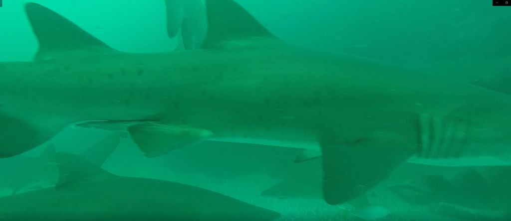 0c1cec58-42c0-4473-a46e-f40a3a9368b4