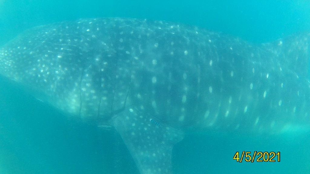 7a8b64cf-08bb-47f0-84c8-70fbb7556445