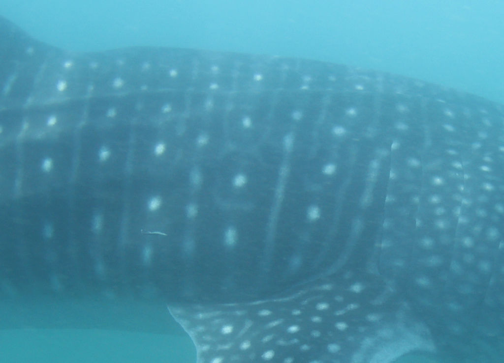 9b536509-7ec1-4395-aa57-9d39c2379bed