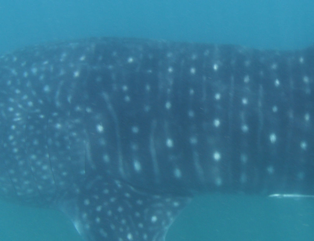 9b536509-7ec1-4395-aa57-9d39c2379bed