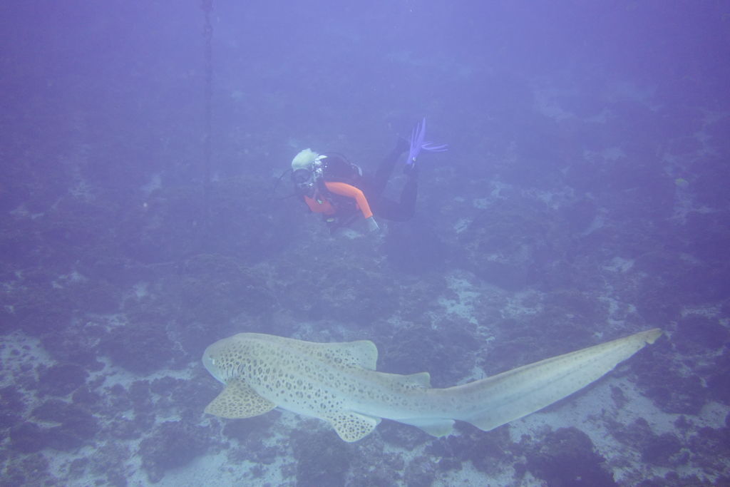 38dd4468-70c7-4c0f-ba1a-373f43ea2d6d