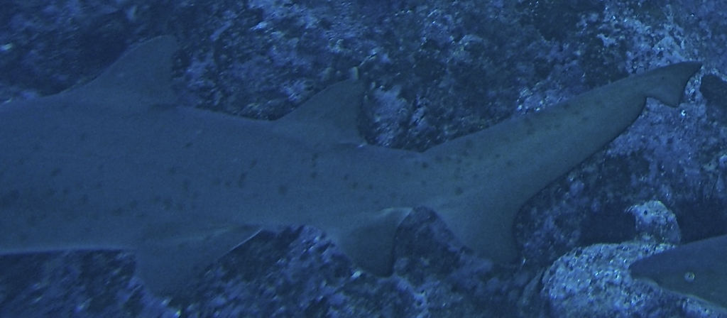 f6de1ff5-2ce1-4150-97c8-4bc5412f2336