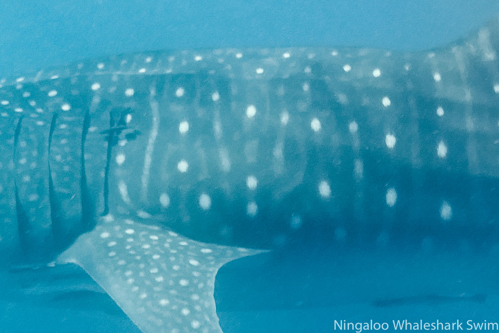 8e49a722-78a0-4201-9c0b-985cddd8f6f3