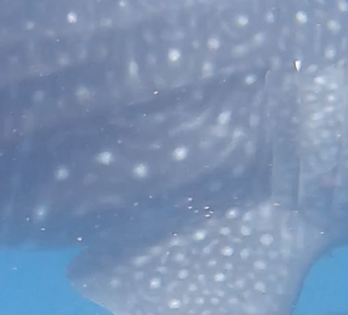 39774764-062b-46ad-883b-e929c347484d