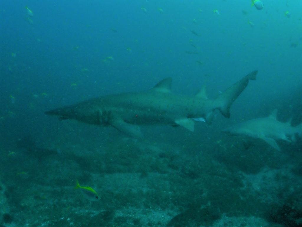 c965561f-d5af-4176-ad21-ee9b3dcc8f50