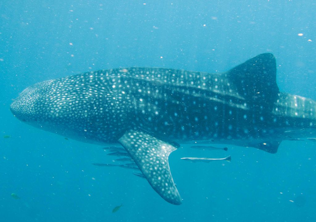 b9f2a2df-72df-40f1-85d9-d935be4431b0