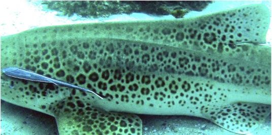 49cd503f-0e33-4cce-95bc-736a3ffdfdd8