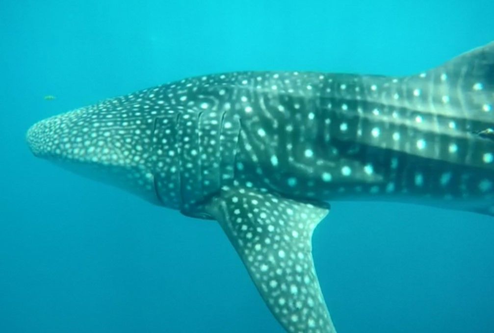 b6b8e562-9b22-47ad-9c68-ebb89b41981a