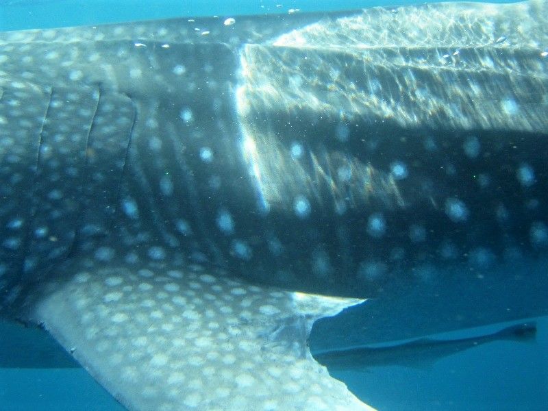 cd8831ad-0947-49b3-b5f5-b91c690848a3