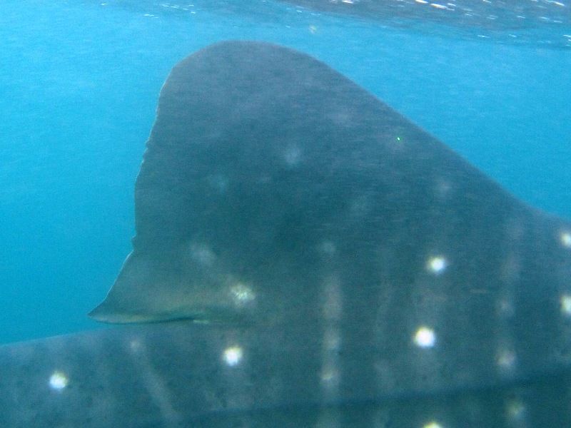 82926b32-efbc-4739-89ed-ca31f9849e4a