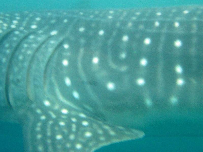 82926b32-efbc-4739-89ed-ca31f9849e4a