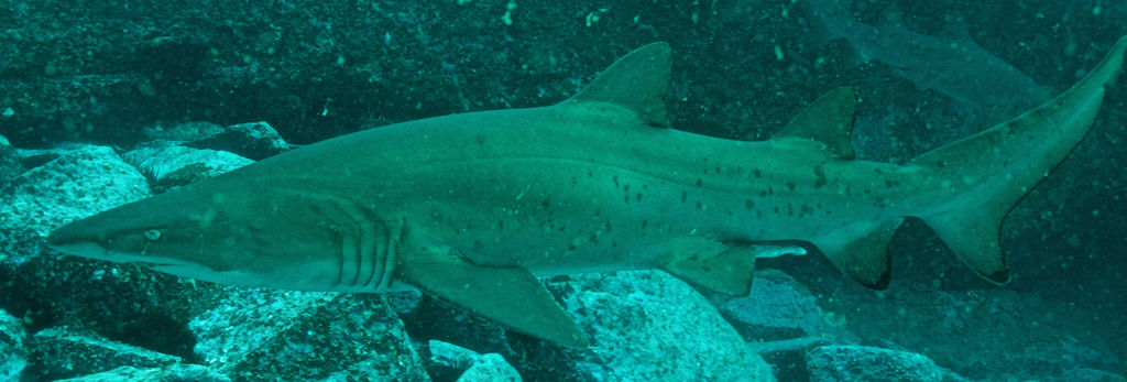 6030efcc-a447-45c8-8808-20baf731f8e0