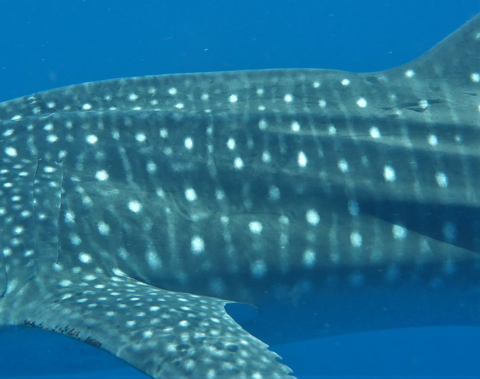 64a21f1e-f146-4fa8-b21c-0f47d4d260af