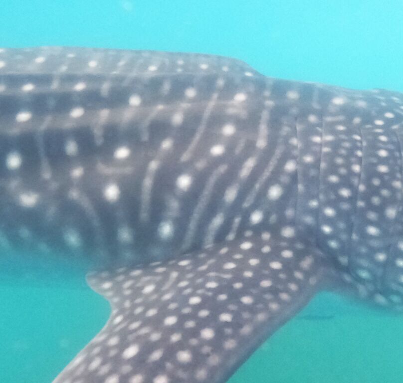 c18c6a27-3f27-41be-8358-3ffc127fcdca