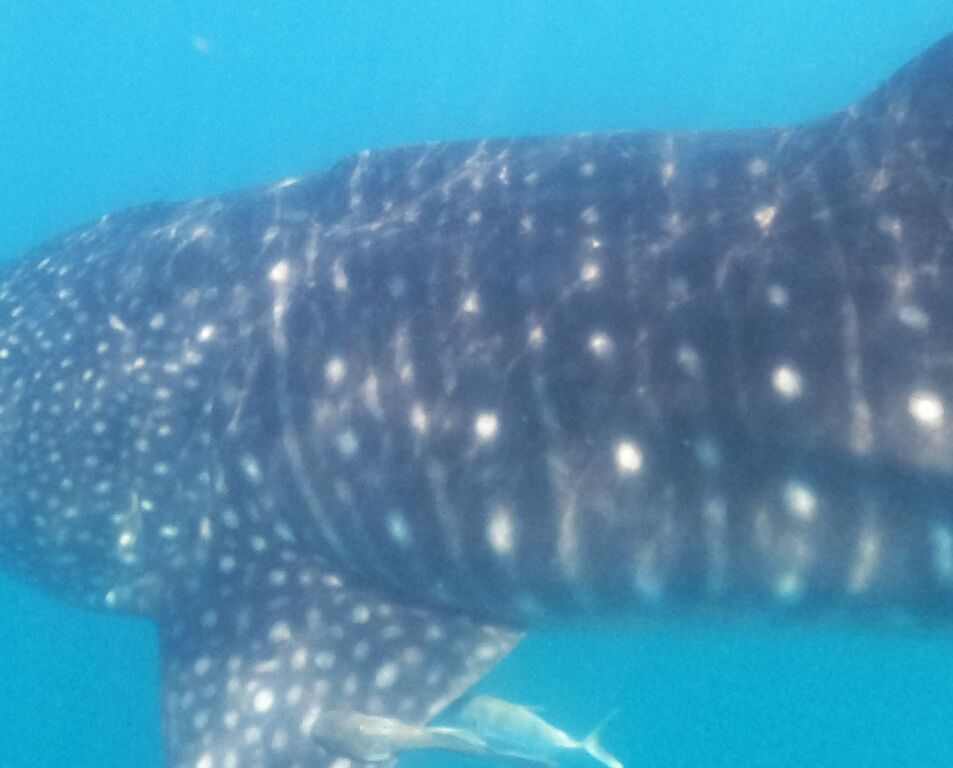 c18c6a27-3f27-41be-8358-3ffc127fcdca